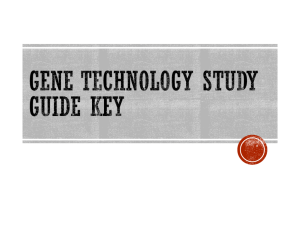 Gene Technology Study Guide KEY