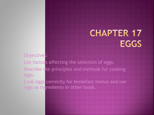 Chapter 17 EGGS