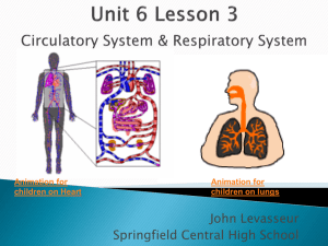 Unit 6 Lesson 3 Circulatory System