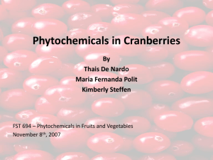 Phytochemicals Cranberries