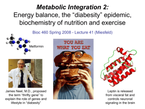 Lecture 41 - Metabolic Integration 2