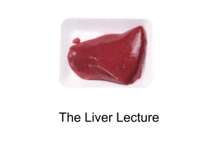 The Liver Lecture (PowerPoint)