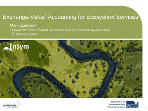 Environmental Markets and Accounts in Victoria