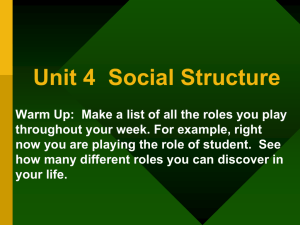 Unit 4 Social Structure