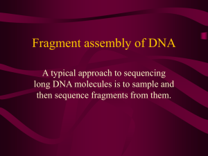 Fragment assembly of DNA