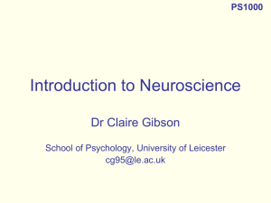 PS1000_Introduction to Neuroscience