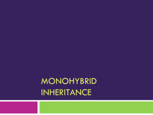 Monohybrid Inheritance