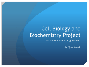 Cell Biology and Biochemistry Project