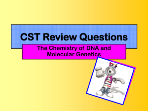CST Review PowerPoint