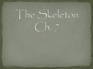 The Skeleton Ch. 7