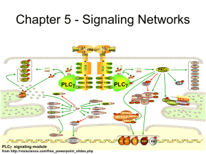 Media:Systems_Biology_Ch_5