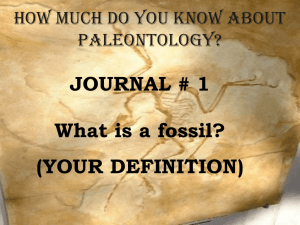 Paleontology Notes - Campbell County Schools