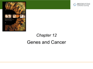 Chapter 12 Power Point Slides