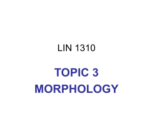 Morphology Notes - Université d'Ottawa