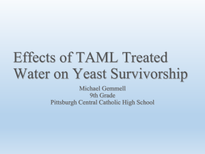 Effects of TAML Treated Water on Yeast Survivorship