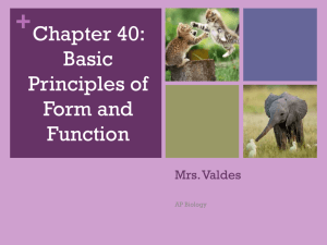 Ch. 40 Animal Basics