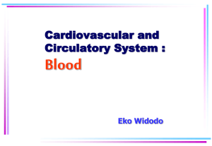 Animal Circulatory System
