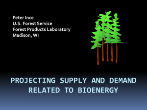 Projecting supply and demand related to bioenergy