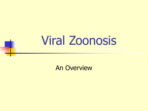 Viral Zoonosis - Virology online