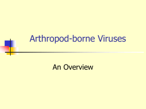 Arthropod-borne Viruses - Virology