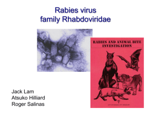 Rabies_power_truefinal_version - Cal State LA
