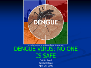 Caitlin Reed- "Dengue Virus: No One is Safe"