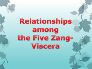 Relationships among the Five Zang
