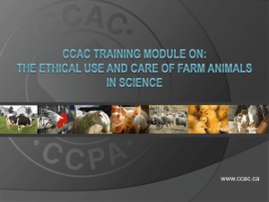 Farm Animal Use in Science - Canadian Council on Animal Care