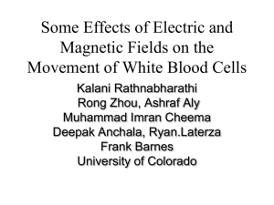 The Effects of Electric and Magnetic Fields on the Movement of