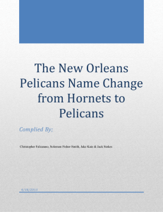 The New Orleans Pelicans Name Change from Hornets to Pelicans
