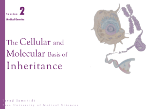 2-The Cellular and Molecular Basis of Inheritance