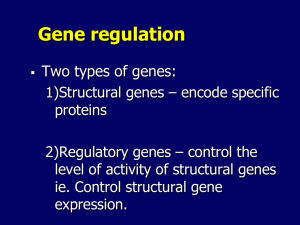 Gene regulation - Madison Public Schools
