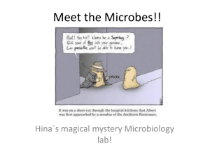 Meet the Microbes!!