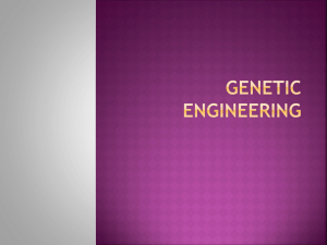 b. Genetic Engineering