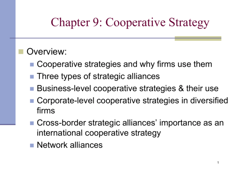 Business Level Cooperative Strategy Examples