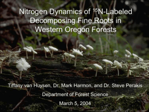 Nitrogen Dynamics and Fate of Nitrogen Released from 15N