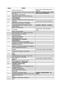 Date TOPIC Sep 23 muscles (end of Unit 1) Lecture Quiz 3 (joints