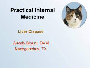 Practical Internal Medicine