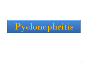 Lecture 3- Acute pyelonephritis