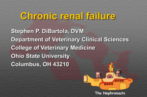 Chronic renal failure - The Ohio State University College of