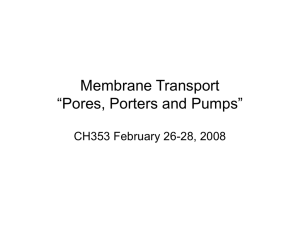 02-26_Membrane_Transport_-_Pores