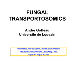 Fungal Transportosomics