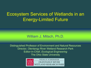 Ecosystem Services of Wetlands in an Energy-Limited Future