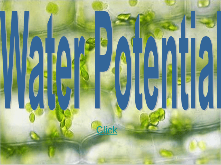 water-potential