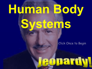 Jeopardy Human Body