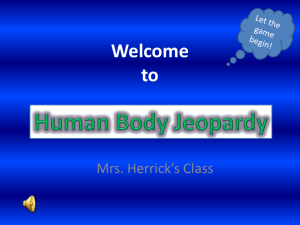 Human Body Jeopardy