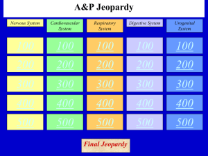 A&P Jeopardy