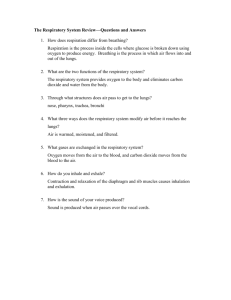 Respiratory System Review Questions ANSWERS