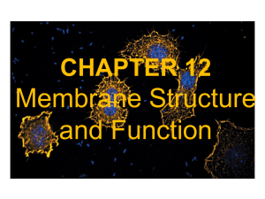 Principles of Biochemistry 4/e