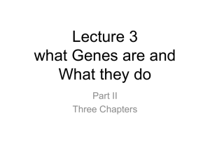 Lecture 4 what Genes are and What they do